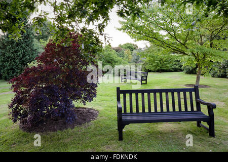 Panchine tra alberi e arbusti in agosto a Emmetts giardino, Kent. Foto Stock