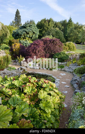 Il laghetto di gigli nel giardino di roccia in agosto a Emmetts giardino, Kent. Foto Stock