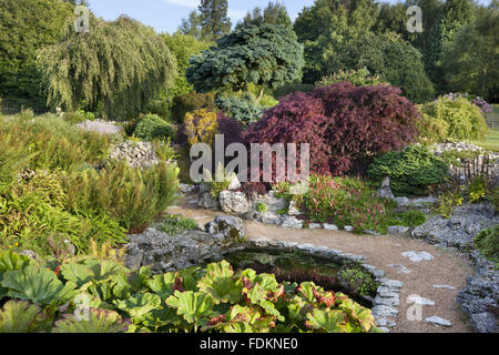 Il laghetto di gigli nel giardino di roccia in agosto a Emmetts giardino, Kent. Foto Stock