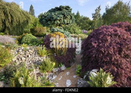 Il Rock Garden nel mese di agosto a Emmetts giardino, Kent. Foto Stock