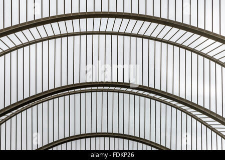 Dettaglio della struttura del tetto nella Città delle arti, valencia, Spagna Foto Stock