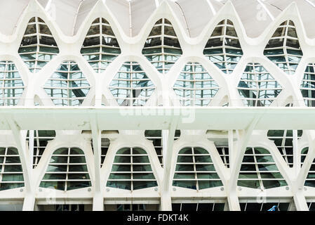 Dettaglio della struttura di parete nella Città delle arti, valencia, Spagna Foto Stock