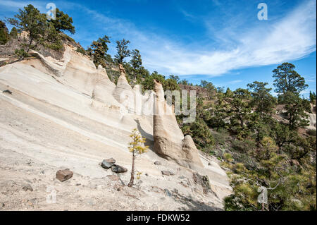 Escursionismo di roccia arenaria formazione, paesaggio lunare, Paisaje Lunar vicino a Vilaflor Foto Stock