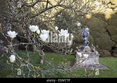 Portare la statua di Ercole realizzato da Andries Carpentiere in officina di John van Nost, nel giardino in marzo a Powis Castle, POWYS, GALLES. Foto Stock