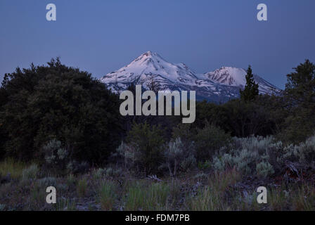 CA02670-00...CALIFORNIA - Pre-alba la luce sul monte Shasta e poco Shastina nel Shasta - Trinity National Forest. Foto Stock