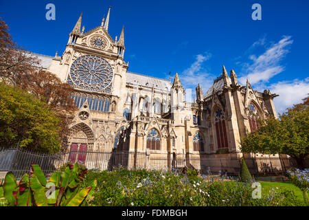 La cattedrale di Notre Dame de Paris, Francia Foto Stock