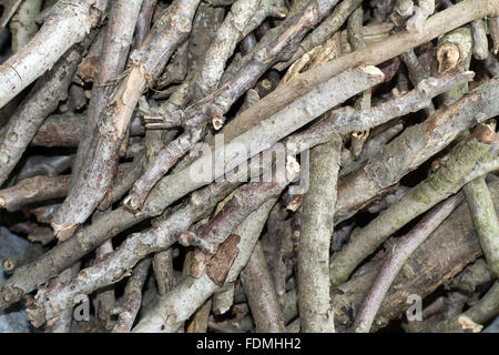 Bastoni o accendendo la legna per il fuoco come sfondo. Foto Stock