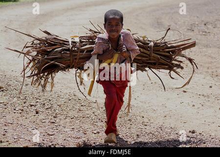 Un giovane ragazzo portato legna home in montagna vicino a Arba Minch, Etiopia Foto Stock