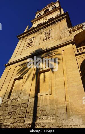 Un albero di palme che getta un ombra nella luce della sera su una delle torri presso la cattedrale di Cordoba Foto Stock