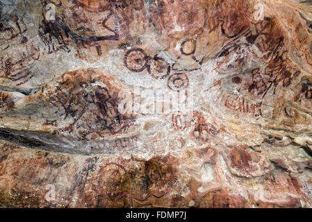 Le pitture rupestri di animali selvatici e tradizione geometrica - Sito Archeologico Nest Vulture Foto Stock