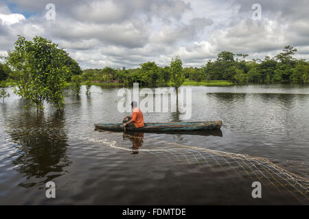 Gestione Arapaima nel fiume Japura RDSM - Sviluppo Sostenibile Mamiraua riserva Foto Stock