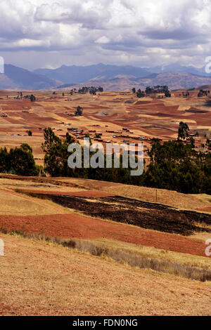 I campi, Chinchero, Provincia di Cusco, Perù Foto Stock