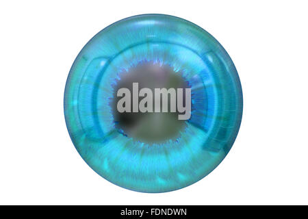 Occhio con iris blu isolato su sfondo bianco Foto Stock