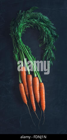 Alcune belle appena raccolte carote organico Foto Stock