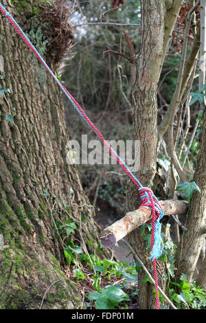 Sede di un fiume swing corda trattenuto tra gli alberi in attesa di un successivo gruppo di giovani a venire e divertirsi. Febbraio 2016 Foto Stock