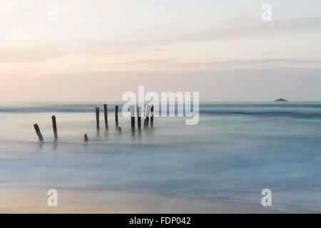 Il vecchio molo pile a St. Clair Beach in Dunedin all'alba Foto Stock