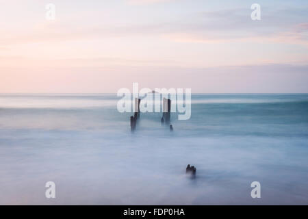 Il vecchio molo pile a St. Clair Beach in Dunedin all'alba Foto Stock