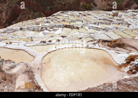 Salina de Maras, il tradizionale inca campo sale in Maras vicino a Cuzco in Valle Sacra, Perù. Foto Stock