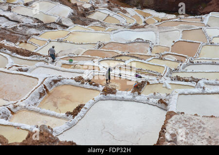 Salina de Maras, il tradizionale inca campo sale in Maras vicino a Cuzco in Valle Sacra, Perù. Foto Stock