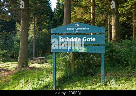 Commissione forestale segno a Gribdale Gate, un popolare a piedi, in bicicletta e area pic-nic nei pressi di grande Ayton, North York Moors Foto Stock