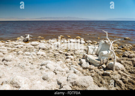 Una sedia scartato sulla sponda occidentale del Salton Sea, California Foto Stock