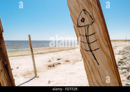 Un pesce morto disegnato su un fencepost sulla sponda occidentale del Salton Sea, California Foto Stock