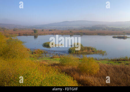 Visualizzare overfreshwater piscine e reedbed, wetland habitat. Leighton Moss RSPB Riserva Naturale. Lancashire, Inghilterra. Novembre. Foto Stock