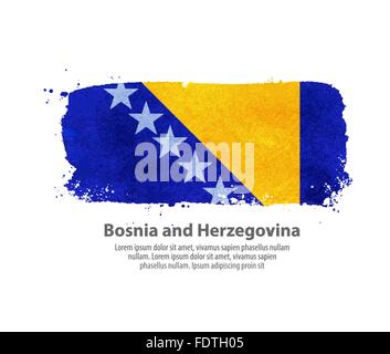 La Bosnia e Erzegovina bandiera Illustrazione Vettoriale