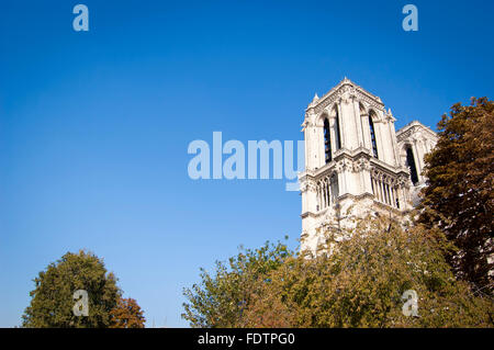 Vista alternativa di Notre Dame di Parigi, Francia Foto Stock