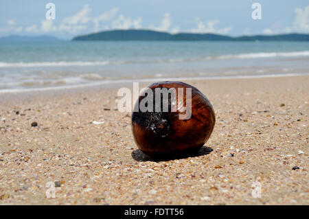 Spiagge tropicali di Bali e Thailandia Foto Stock