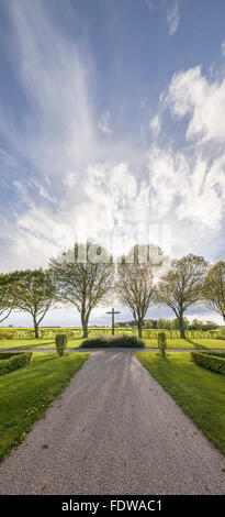 Croce in un cimitero con alberi contro il cielo con sole e nuvole Foto Stock