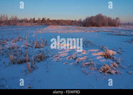 Primi raggi di sole e neve scintillante in campagna Foto Stock