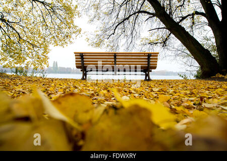 Hannover, Germania, la caduta in Hannover Foto Stock