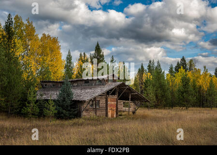 Abbandonare il fienile circondato da autunno colori sotto un cielo nuvoloso Foto Stock