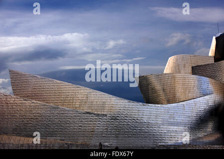 'Dettaglio' dal museo Guggenheim accanto al fiume Nervion (ria del Nervion), Bilbao, Paese Basco (Pais Vasco), Spagna. Foto Stock