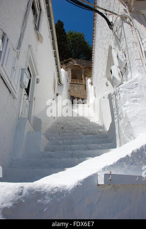 Stretto vicolo di scale che portano verso l'alto in Grecia HYDRA Foto Stock