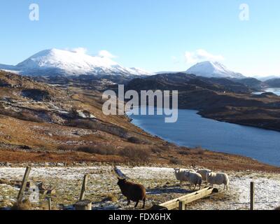 Montagna innevata alla fine del Loch Inchard, vicino Kinlochbervie in Scozia Gennaio 2016 Foto Stock