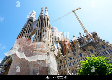 Vista sulla costruzione della Basilica della Santa Famiglia (Sagrada Familia) Foto Stock