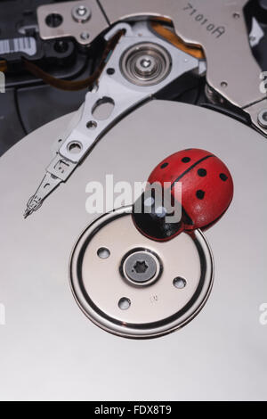 Coccinella / ladybug sulla tastiera del PC - come una metafora visiva per il concetto di 'computer bug" oppure virale / sistema "infezione". Foto Stock