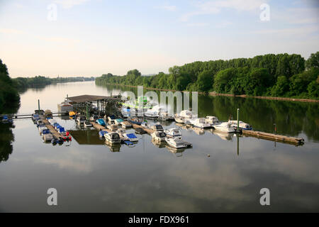 DEU, Deutschland, Assia, Wiesbaden, Stadtteil Mainz-Kastel, Bootswerft am Alt-Rhein Foto Stock