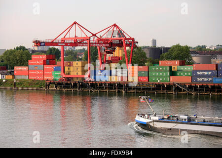 DEU Deutschland, Renania-Palatinato, Mainz, Container-Terminal am Rhein Foto Stock