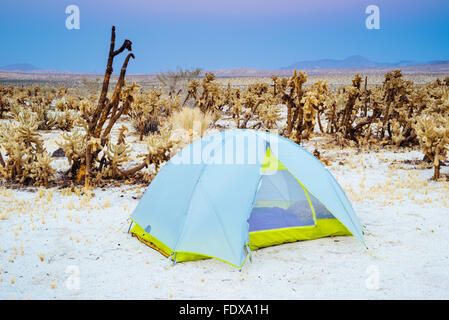 Tende da campeggio a sorgenti di montagna Canyon Campeggio nel deserto Anza-Borrego State Park, California Foto Stock