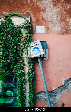 Ivy prendendo lentamente su un bellissimo indossato vecchio muro in Roma, Italia Foto Stock