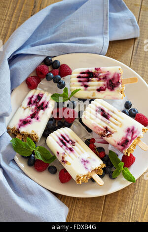 Frozen yogurt popsicles con avena e confettura di mirtilli Foto Stock