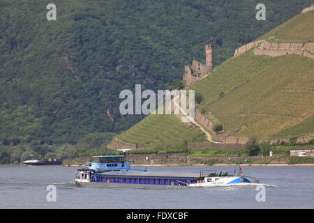 Deutschland, Assia, Ruedesheim am Rhein, vor Frachtschiff Ruedesheimer Berg mit Burgruine Ehrenfels Foto Stock