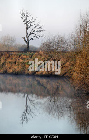 Struttura riflessa nel fiume Dee all alba con nebbia attorno alla banca di fiume in Holt vicino a Wrexham Foto Stock