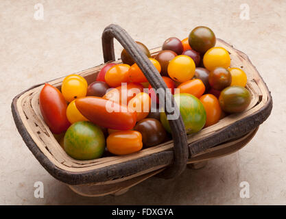 Trug di piccoli pomodori del patrimonio Foto Stock