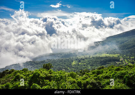 La valle verde al di sotto dei vulcani di Santa Ana, Izalco e Cerro Verde, in El Salvador Foto Stock