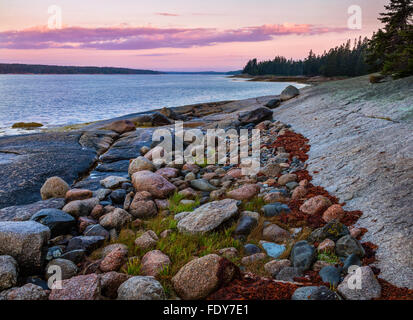 Deer Isle, Maine: Sunrise sulla baia di Gerico con rocce colorate sul litorale Foto Stock