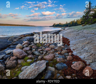 Deer Isle, Maine: la luce del mattino sulla baia di Gerico con rocce colorate sul litorale Foto Stock